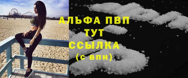 МДПВ Бородино