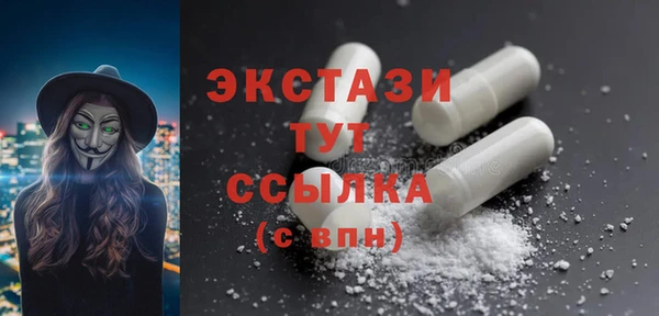 МДПВ Бородино
