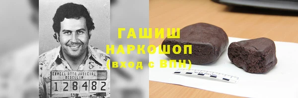 МДПВ Бородино
