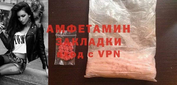 МДПВ Бородино