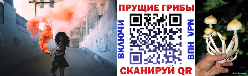 Купить где  Гремячинск  Псилоцибиновые грибы мицелий 